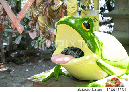 Frog Soap Bubbles 118015584