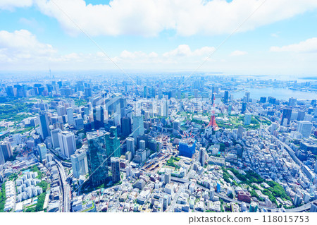 Tokyo aerial photography 118015753