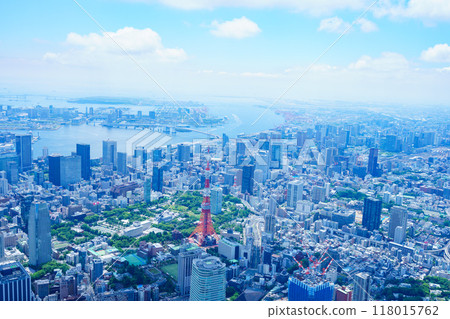 Tokyo aerial photography 118015762