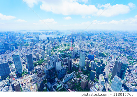 Tokyo aerial photography 118015763