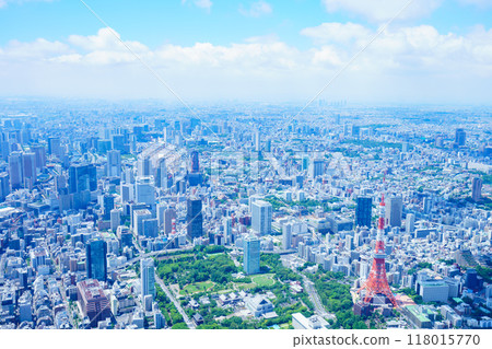 Tokyo aerial photography Tokyo aerial photography 118015770