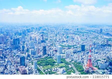 Tokyo aerial photography Tokyo aerial photography 118015771
