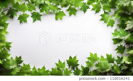 綠色楓木框架 118016241