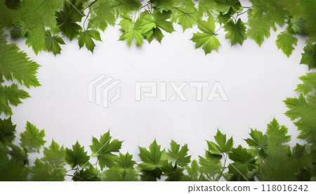 綠色楓木框架 118016242