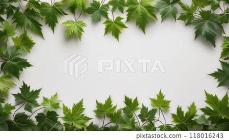 Leaf shaped frame 118016243