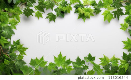 Fresh leaf background material 118016244