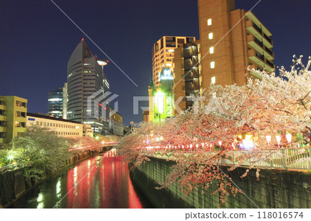 Megurogawa Sakura Festival Evening scenery Megurogawa Sakura Festival Evening scenery 118016574