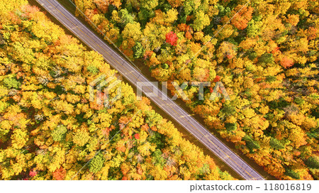 Aerial Autumn Road Through Michigan Forest Foliage 118016819