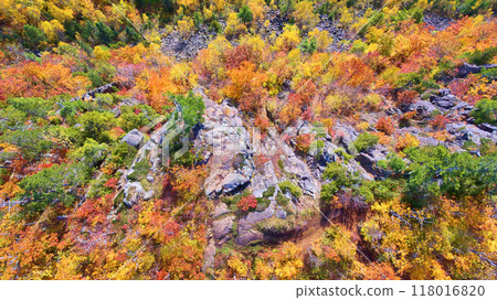 Aerial Autumn Tapestry in Michigan Forest with Rock Formations 118016820