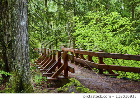 Rustic Wooden Fence in Lush Forest Along Trail Perspective 118016935