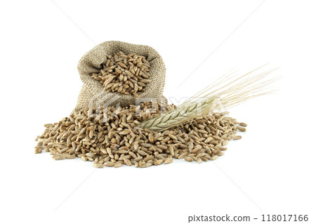 Pile of rye grains isolated on a white background Pile of rye grains isolated on a white background 118017166
