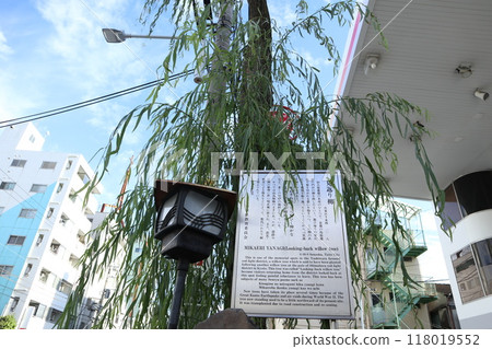 Yoshiwara Daimon Gate - Mikaeri Willow Yoshiwara Daimon Gate - Mikaeri Willow 118019552