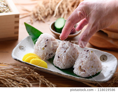 由雜糧米製成的飯糰(Mischigrain 飯糰) 由雜糧米製成的飯糰(Mischigrain 飯糰) 118019586