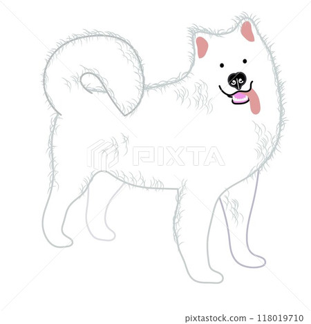 薩摩耶犬全身圖 118019710