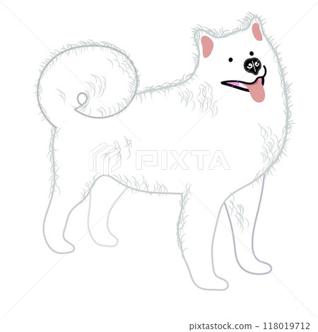 薩摩耶犬全身圖 薩摩耶犬全身圖 118019712