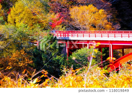 Higashizawa Bridge on the Yatsugatake Plateau in autumn Higashizawa Bridge on the Yatsugatake Plateau in autumn 118019849