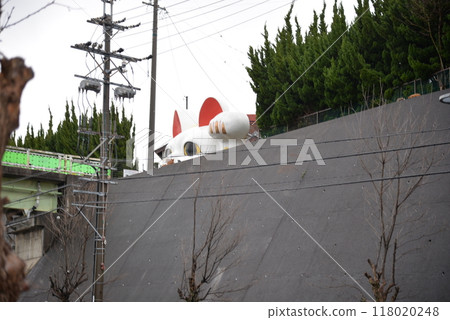 東光吳年 118020248