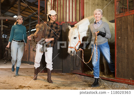Women ranchers preparing white horse for ride 118020363