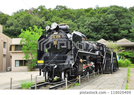 Kawasaki City Ikuta Green Space Kawasaki Science Museum and D51 Kawasaki City Ikuta Green Space Kawasaki Science Museum and D51 118020409