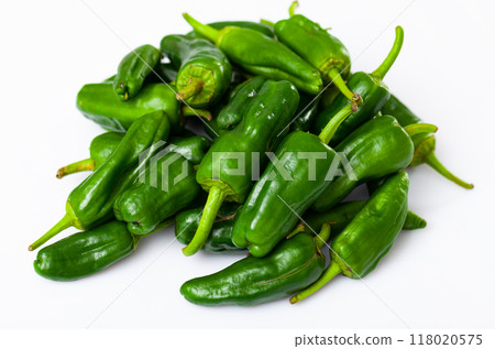 Pile of fresh green padron peppers on white background 118020575