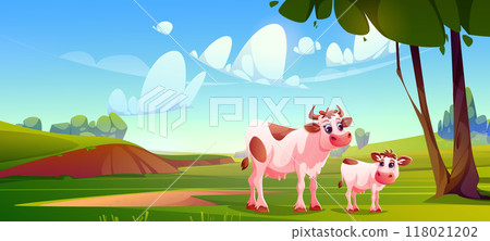 Cow with calf graze in pasture 118021202