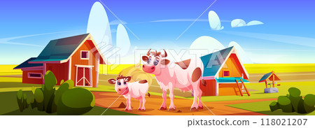 Cow and calf in farm field 118021207