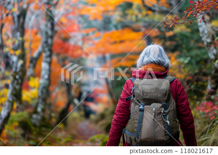 Senior woman walking along a mountain path in autumn leaves 118021617