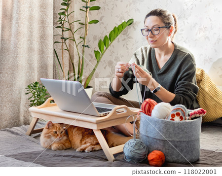 Ginger cat looks how woman is crocheting while watching movie on laptop. Learn to knit from video lessons on Internet. Cozy home and anti stress hobby. Ginger cat looks how woman is crocheting while watching movie on laptop. Learn to knit from video lessons on Internet. Cozy home and anti stress hobby. 118022001