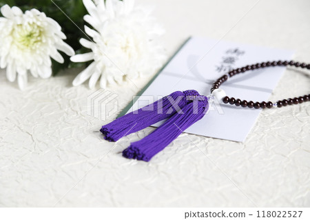 法律形象 118022527