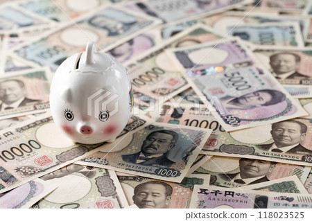New banknote image Piggy bank 118023525