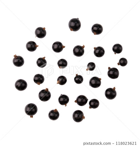 black currant bowl isolated on white background black currant bowl isolated on white background 118023621
