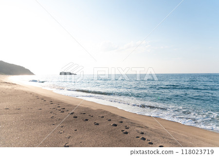 夏天白色兔子海岸 118023719