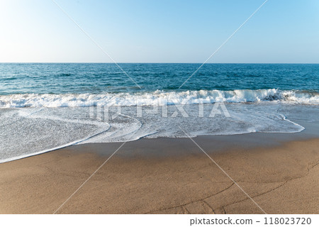 Summer white rabbit coast 118023720