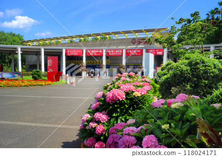 Zurasia_Nirenoki 廣場 4 118024171