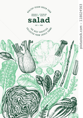 Green Vegetable Design Template. Vector Hand Drawn Healthy Leaf Salad Banner. Vintage Style Menu Illustration. 118024563