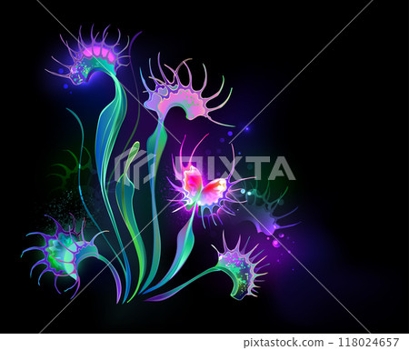 Glowing Venus Flytrap 118024657