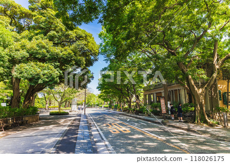 Yokohama: Yamate area lined with Western-style buildings 118026175