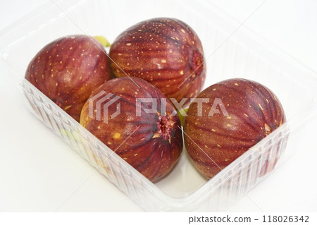 Fig (Echi no Shizuku) 118026342