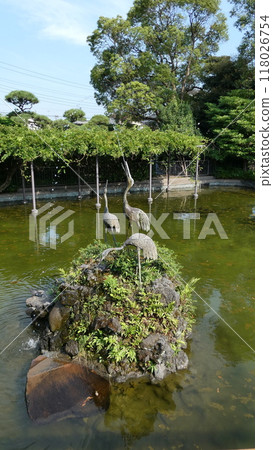 仲夏公園池塘 仲夏公園池塘 118026754