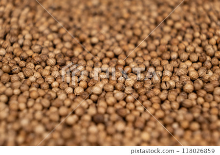 Macro Grains Coriander Natural Spice Selective Focus 118026859