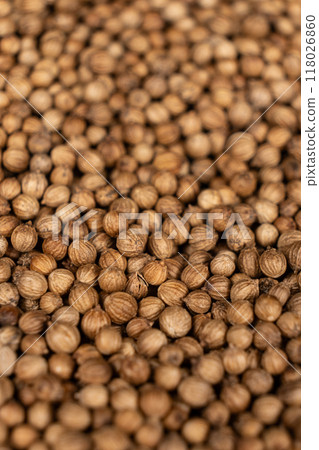 Macro Grains Coriander Natural Spice Macro Grains Coriander Natural Spice 118026860