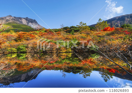 Autumn in Mt. Nasu (Mt. Chausu), autumn leaves reflected in "Hyotan Pond" [Nasushiobara City, Tochigi Prefecture] 118026893