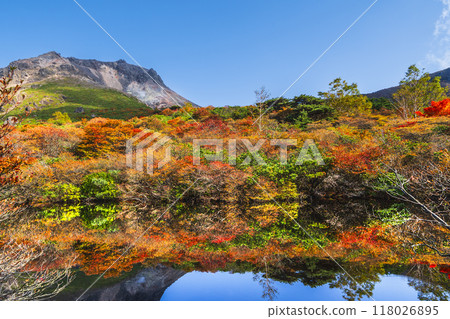 秋天的那須山（茶臼岳），「葫蘆池」的秋葉倒影[栃木縣那須鹽原市] 118026895