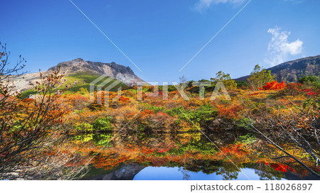 Autumn in Mt. Nasu (Mt. Chausu), autumn leaves reflected in "Hyotan Pond" [Nasushiobara City, Tochigi Prefecture] 118026897