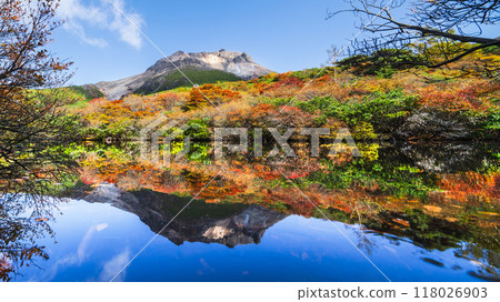 Autumn in Mt. Nasu (Mt. Chausu), autumn leaves reflected in "Hyotan Pond" [Nasushiobara City, Tochigi Prefecture] 118026903