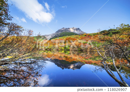 Autumn in Mt. Nasu (Mt. Chausu), autumn leaves reflected in "Hyotan Pond" [Nasushiobara City, Tochigi Prefecture] 118026907