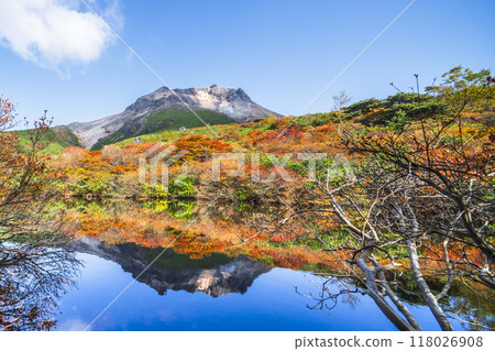 Autumn in Mt. Nasu (Mt. Chausu), autumn leaves reflected in "Hyotan Pond" [Nasushiobara City, Tochigi Prefecture] 118026908