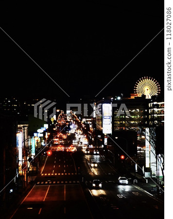 大摩天輪的夜景 大摩天輪的夜景 118027086