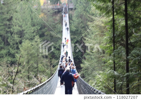 卡皮拉諾吊橋 118027207