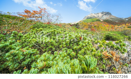 從「姥平」眺望那須山（茶須岳）的紅葉【栃木縣那須鹽原市】 118027266